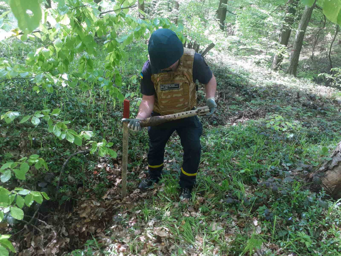 На Мукачівщині чоловік відпочивав у лісі та знайшов… боєприпаси