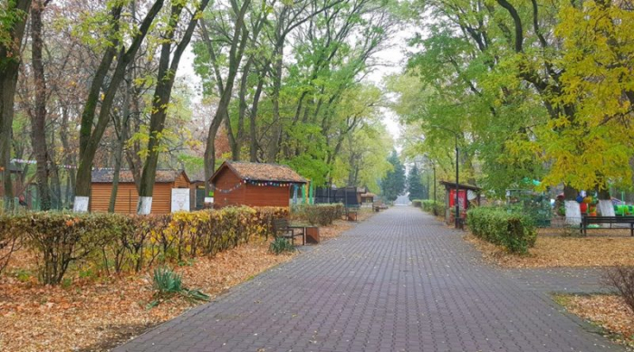 У Боздоському парку – заходи до Міжнародного дня захисту дітей та Дня парків
