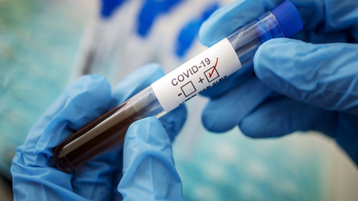 В Закарпатті за добу виявлено 8 випадків COVID-19, не помер жоден пацієнт