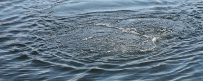 У селі Баркасово на Закарпатті у водоймі потонув 16-річний хлопець