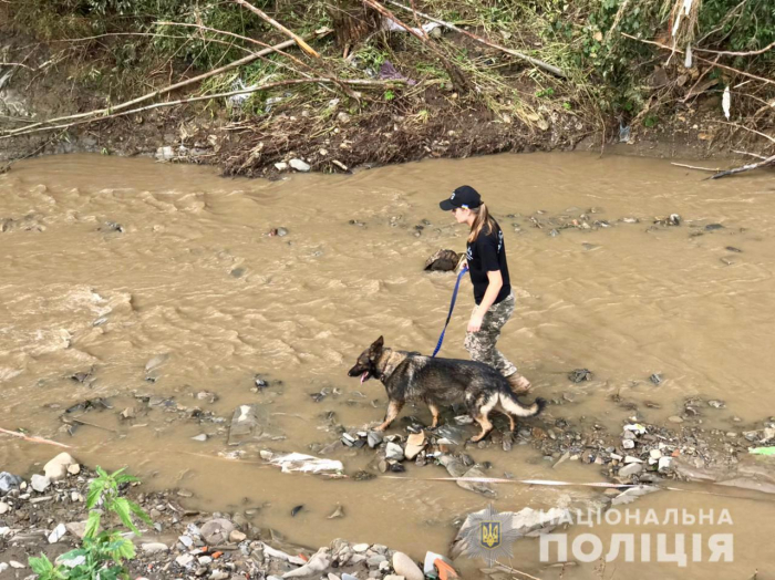 Тривають пошуки закарпатця, який зник під час паводку на Рахівщині