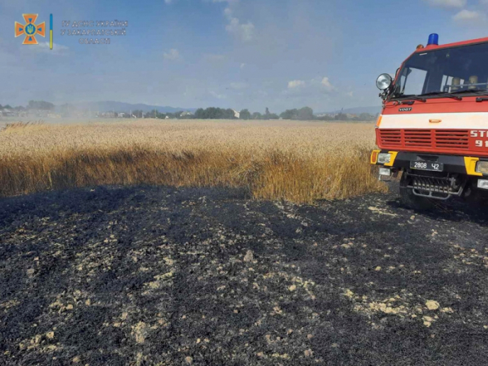 Ужгородські рятувальники ліквідували пожежу на пшеничному полі (ФОТО)