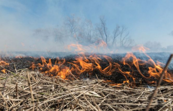 Не паліть траву: закарпатські рятувальники 5 разів за добу виїжджали на гасіння сухостою