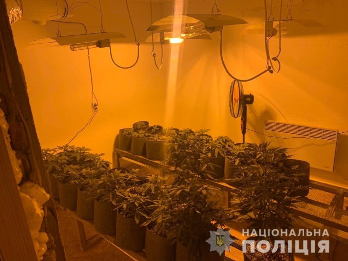 Поліцейські Тячівщини припинили незаконну діяльність міні-нарколабараторії