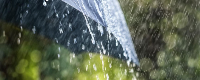 Туман, дощі та грози прогнозують синоптики на Закарпатті