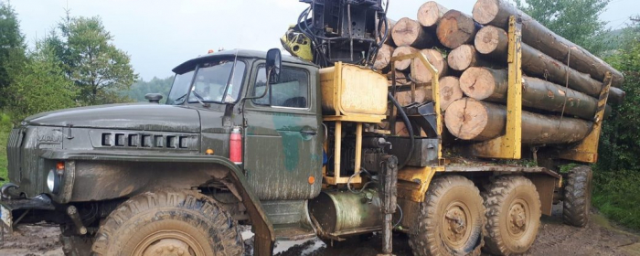 На Закарпатті поліцейські затримали вантажівку з нелегальною деревиною