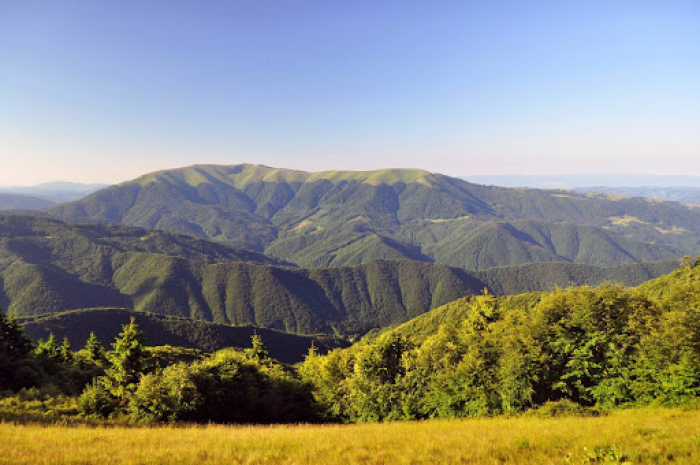«Водяна» гора: туристичні перспективи громади на Тячівщині (ВІДЕО)