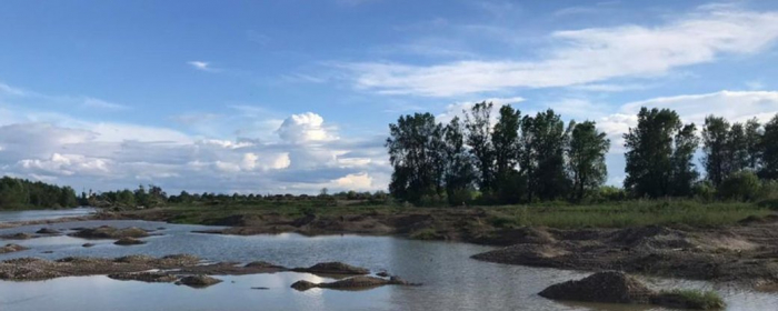 250 млн збитків: в незаконному видобутку копалин на Закарпатті підозрюють посадовця та 2 підприємців