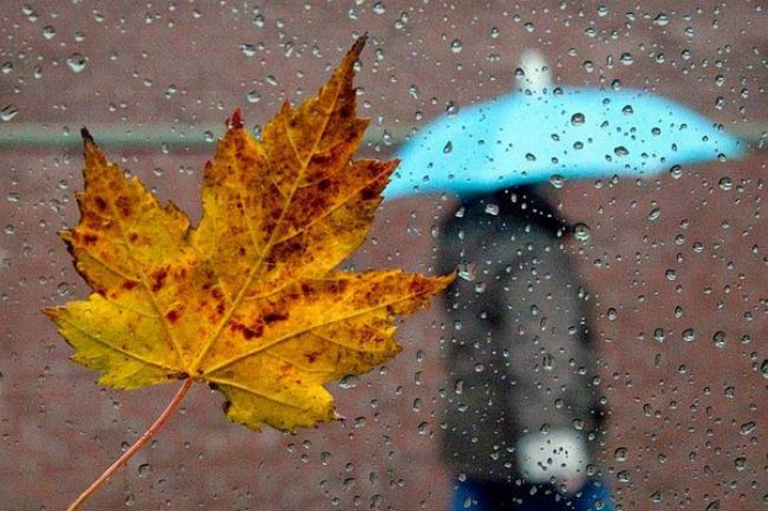 Синоптики: осінь на Закарпатті почнеться з дощів