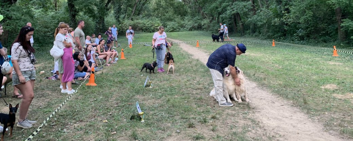 Понад 100 собак представили на виставці в Боздоському парку Ужгорода