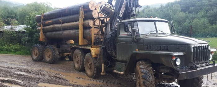Чотири вантажівки з деревом без документів затримали закарпатські поліцейські протягом тижня