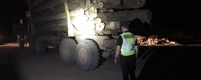 Зрубали 65 ялин: на Закарпатті поліцейські затримали вантажівку з деревиною