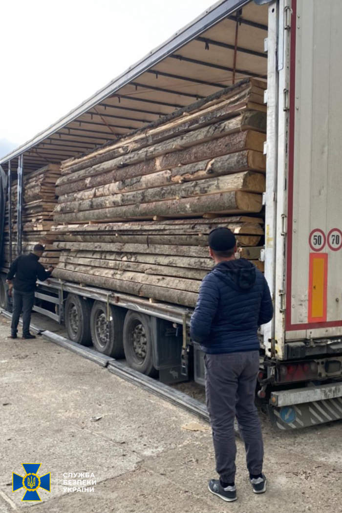 СБУ блокувала на Закарпатті схему незаконного вивезення за кордон лісоматеріалів