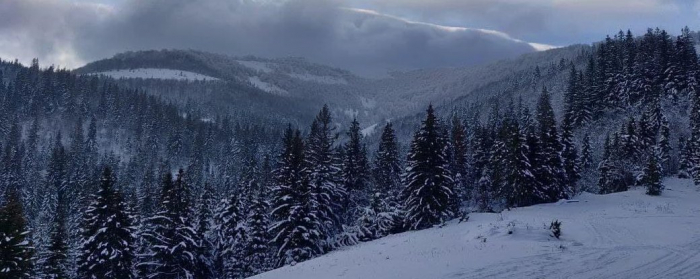 На Закарпатті оголосили штормове попередження