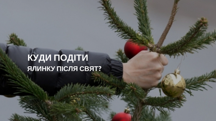 До уваги містян: куди в Ужгороді подіти новорічну ялинку (ВІДЕО)