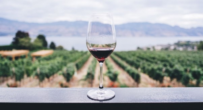 Как хранить закарпатское вино правильно?
