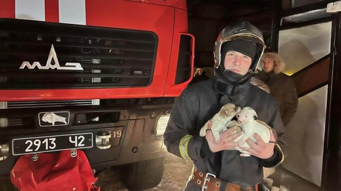 На Хустщині пожежники винесли з палаючого будинку чотирьох цуценят