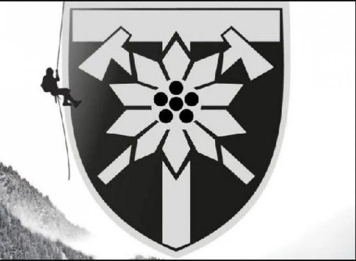 Сторінка 128-ї Закарпатської бригади зазнала масової атаки проросійських ботів