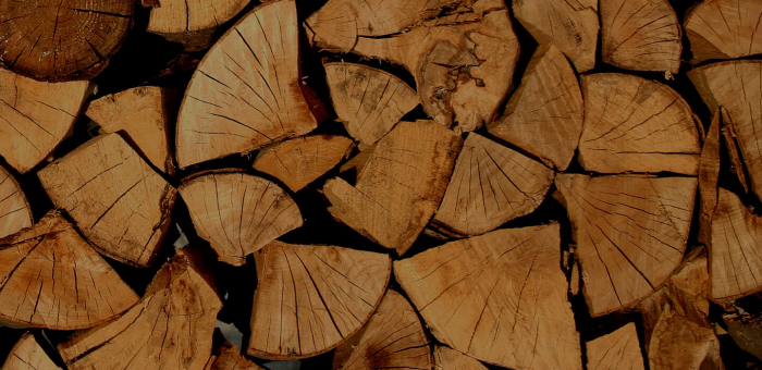 Закарпатці можуть придбати дрова через державний інтернет-магазин «ДроваЄ»