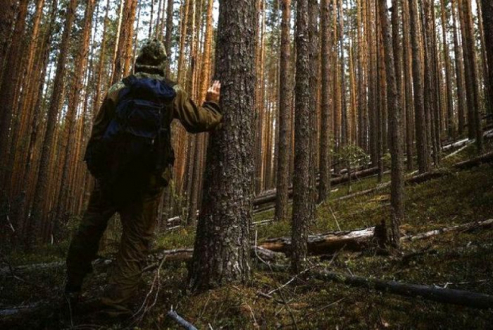 На Закарпатті вже кілька днів шукають киянина, що заблукав у лісі