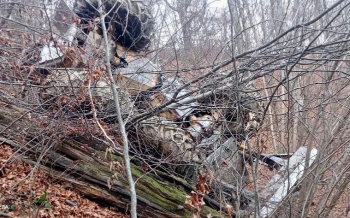 На Закарпатті тракторист загинув під час робіт у лісі