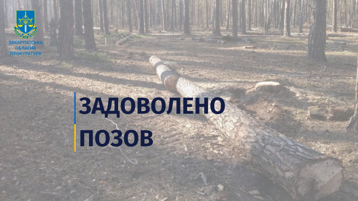 Порушення лісового законодавства на майже 890 тис. грн – суд задовольнив позов прокуратури про стягнення боргу зі Свалявського лісгоспу