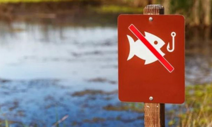 Чергове правопорушення виявили на Закарпатті під час дії нерестової заборони вилову водних біоресурсів