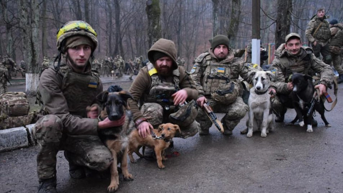 Прикордонники після бойового завдання повернулися на Закарпаття і привезли з собою врятованих собак