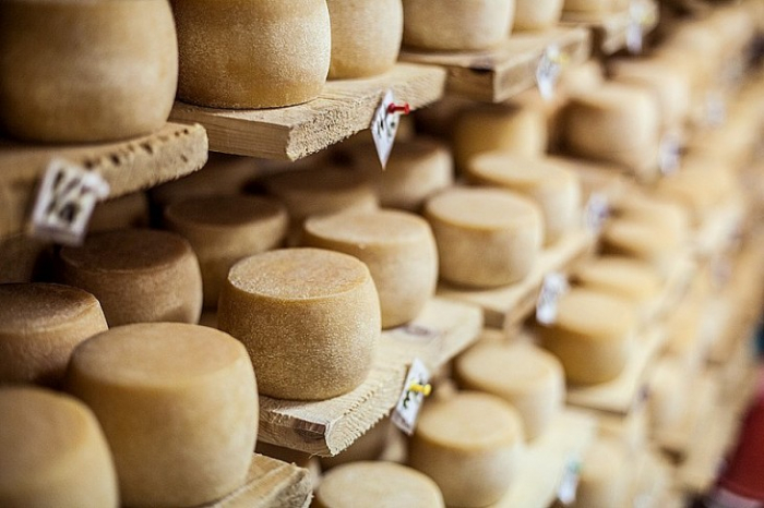 Технологія та секрети: як на Закарпатті виготовляють сир