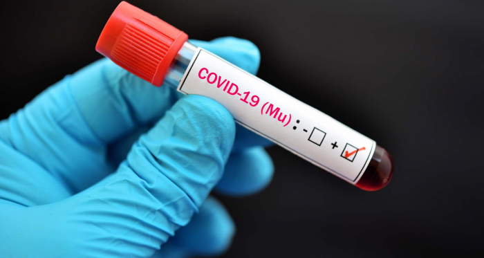 COVID-19 на Закарпатті: 786 нових випадків, 6 пацієнтів померло