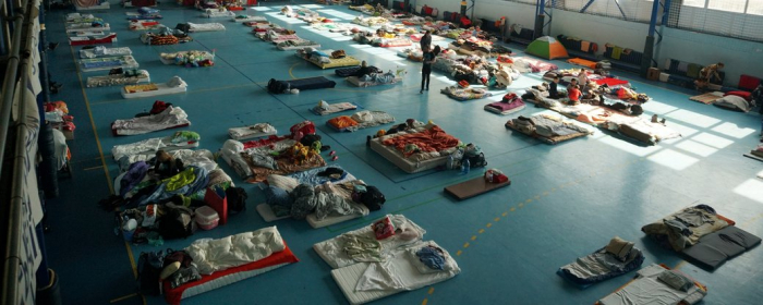 Майже 220 тисяч вимушених переселенців поселили на Закарпатті