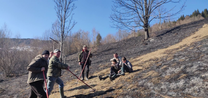На Рахівщині трапилася масштабна пожежа, яка ледь не перейшла на ліс