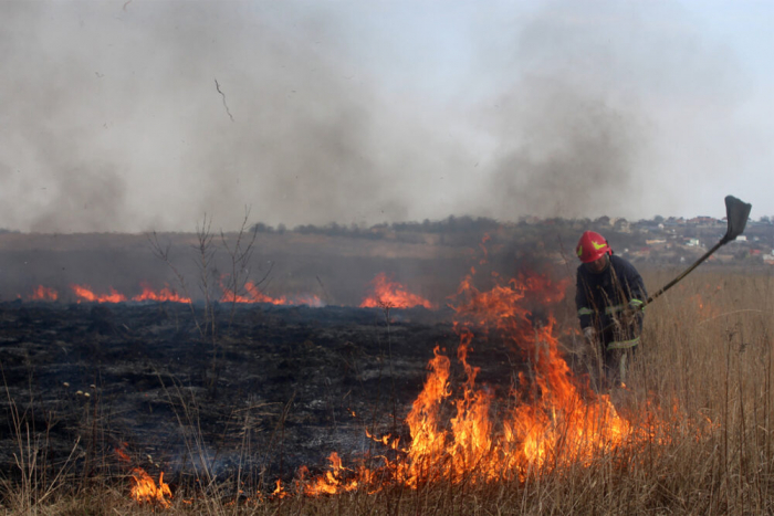 На Закарпатті за добу згоріли понад 95 гектарів сухої трави та чагарників