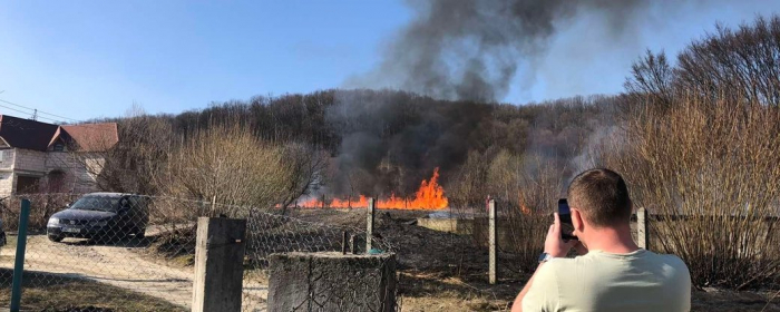 Згоріли понад 2 га сухостою: закарпатець сплатить штраф за підпал сухої трави у Тересві