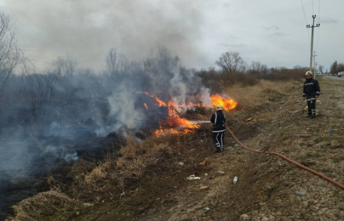 Закарпатців знову просять не спалювати суху траву (ФОТО)
