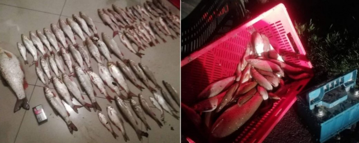 На Закарпатті виявили чоловіка, який ловив червонокнижну рибу електровудкою