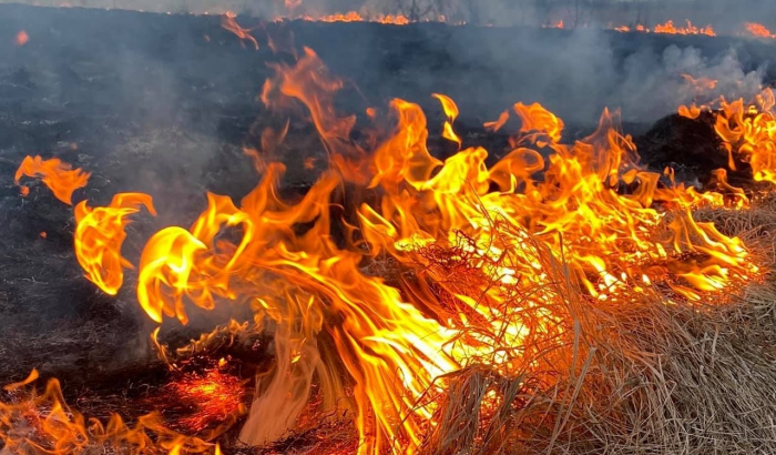 Знову палять: на Закарпатті за добу зафіксували 14 випадків загоряння сухої трави