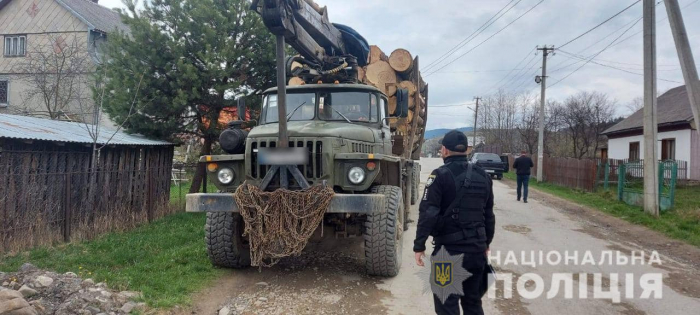 На Закарпатті поліцейські вилучили дві вантажівки з нелегальною деревиною