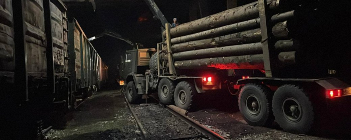 Незаконно вирубану деревину на Закарпатті відправлять в зону бойових дій