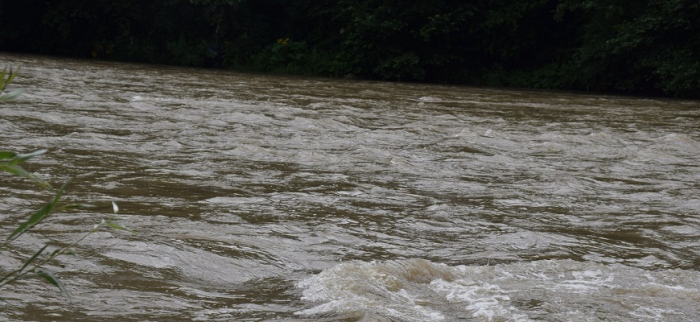 На Закарпатті в річці шукають двох людей, які, ймовірно, потонули