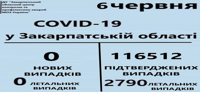 Яка ситуація з коронавірусом на Закарпатті
