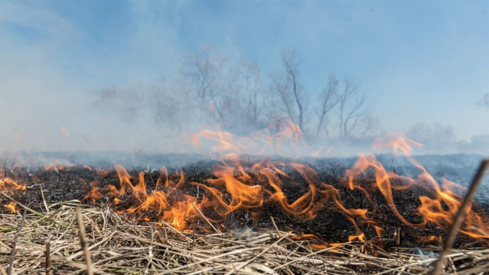 На Закарпатті за добу зафіксували 11 випадків загоряння сухої трави