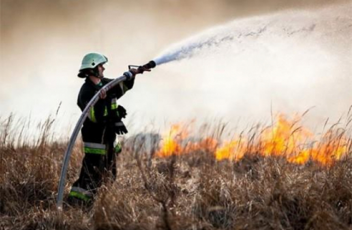 На Закарпатті за добу зафіксували 17 випадків загоряння сухої трави