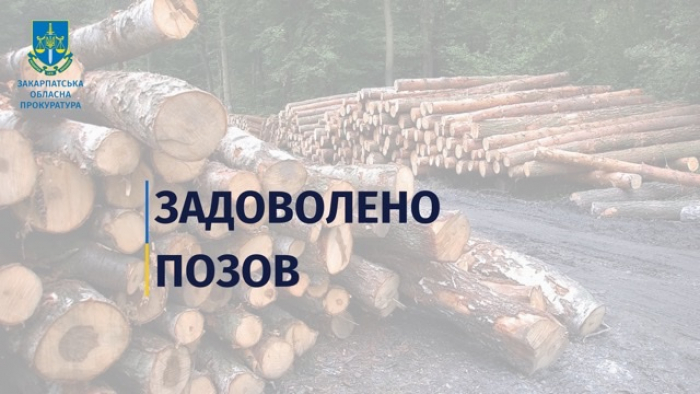 На Закарпатті підприємство зобов’язали відшкодувати понад 1,3 млн грн збитків