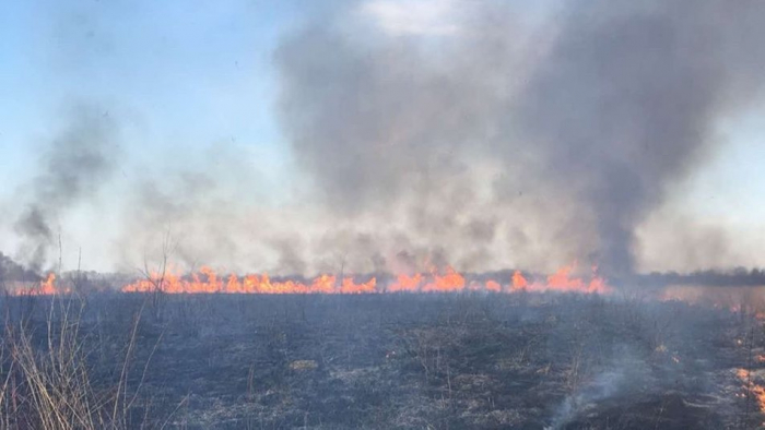 На Закарпатті за добу зафіксували 19 випадків загоряння сухої трави