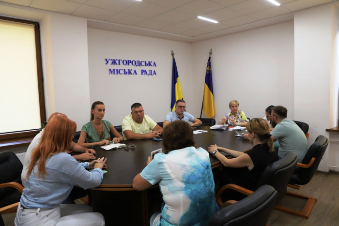 В Ужгородській міськраді комісія розглянула технічні паспорти вивісок у межах центральної частини міста