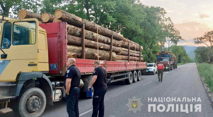 Поліція Закарпаття продовжує відпрацювання для попередження злочинів у лісовій галузі