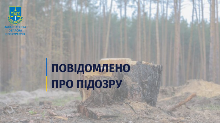 На Закарпатті перевищення службових повноважень лісівників призвело до збитків у 5,4 млн гривень