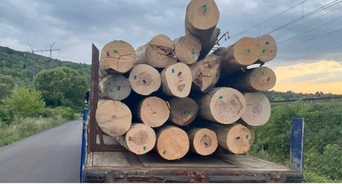 На Закарпатті затримали ще одну вантажівку з нелегальною деревиною (ФОТО)