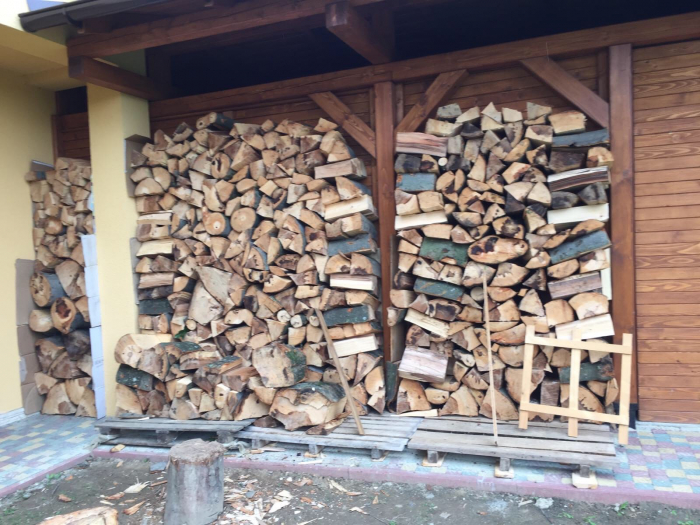 На Берегівщині лісівники полегшують населенню виписувати дрова